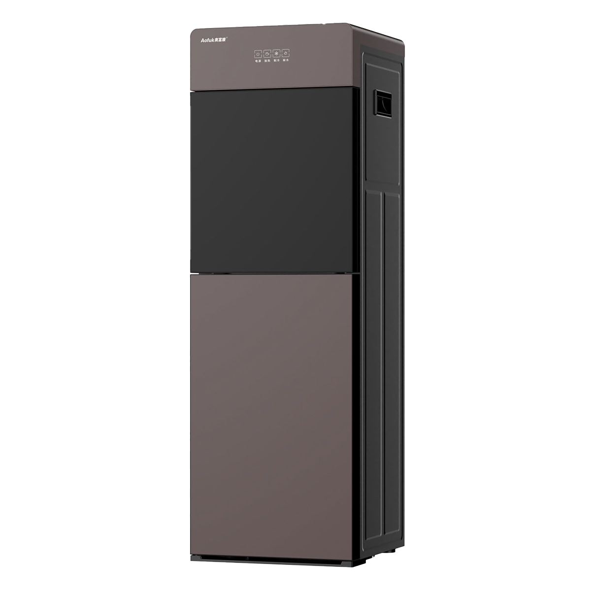Electronic Water Dispenser